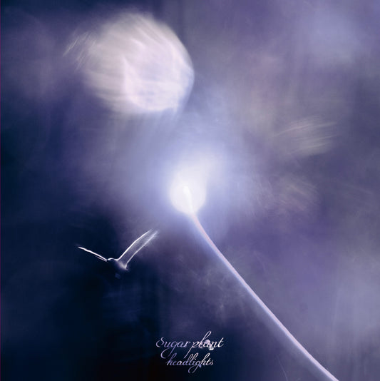 sugar plant / headlights Limited edition CD
