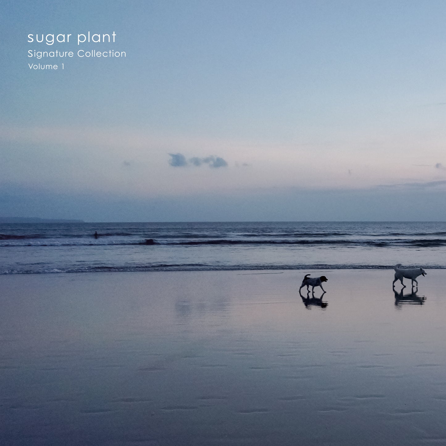 sugar plant / Signature Collection Volume 1 Very Limited CLEAR MINT GREEN Vinyl